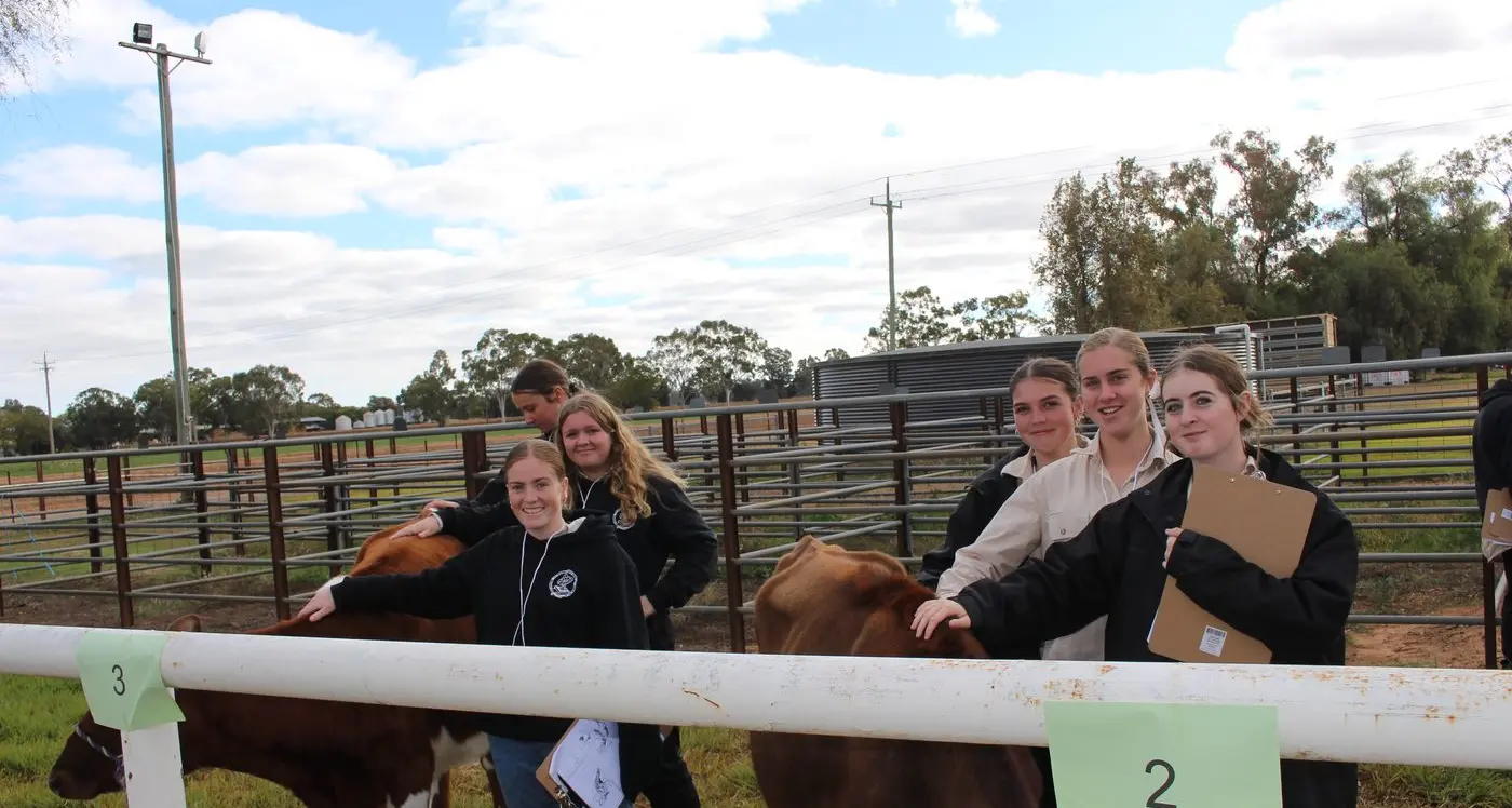 Students learn the ins and outs of junior judging