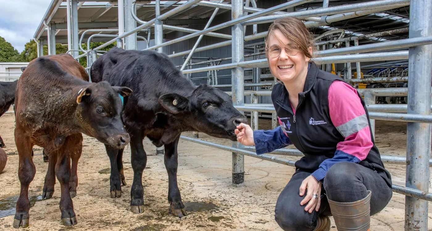 Virtual fencing could be the next big thing in livestock management