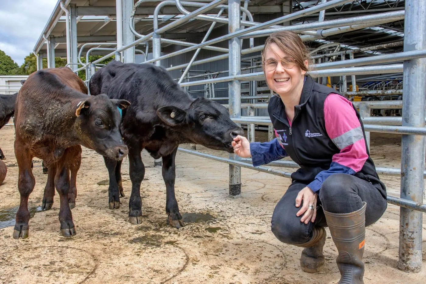 PROVEN RESEARCH: Dr Megan Verdon with calves at Elliot Dairy.