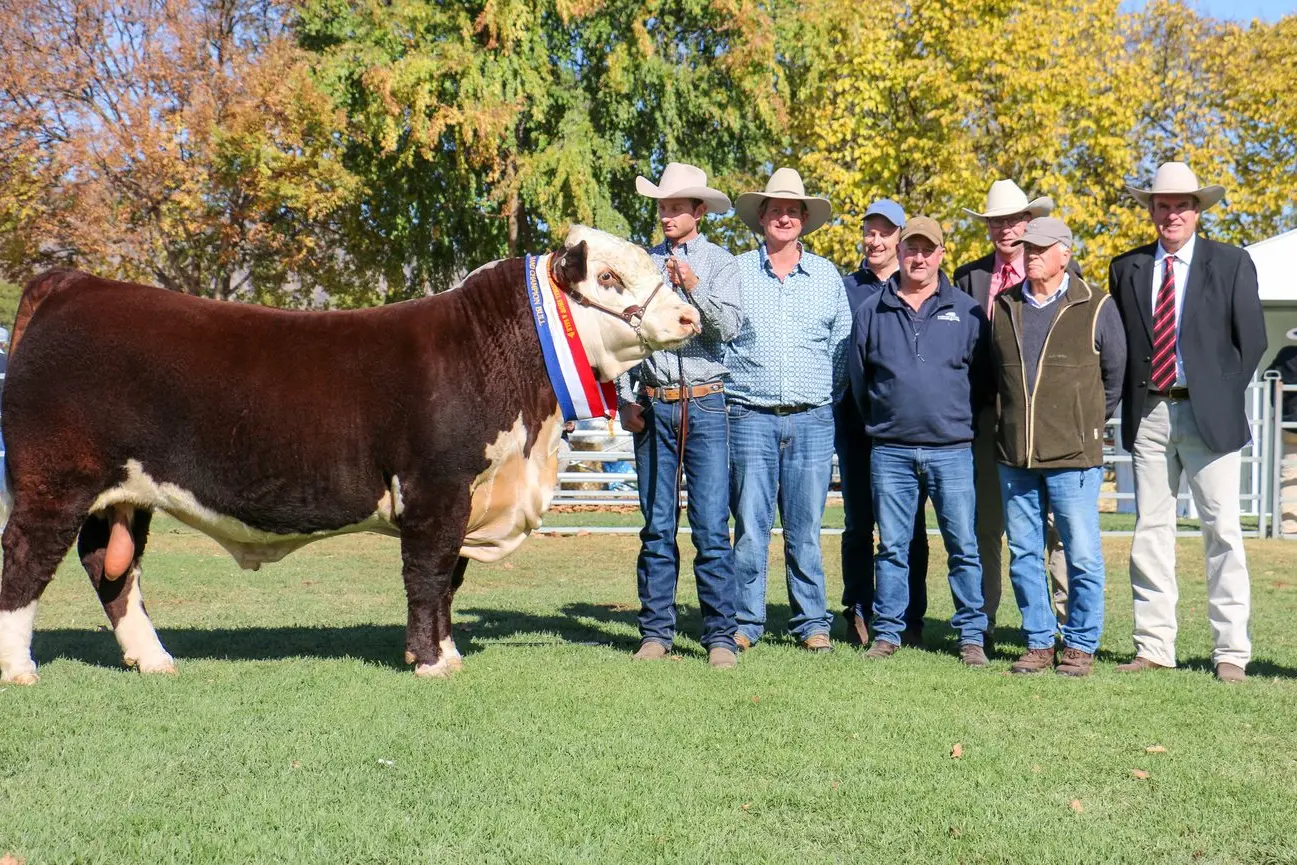 TOP PRICE: The $46,000 grand champion Mawarra Whiteout T290 (S), held by Logan Sykes, Mawarra Genetics, with vendor Peter Sykes, Longford (left) buyers, Craig Brewin and Mick Petersen, Yarram Park Herefords, Willaura, Ross Milne, Elders, Antony Baillieu, Yarram Park and Paul Dooley, auctioneer. PHOTO: Supplied