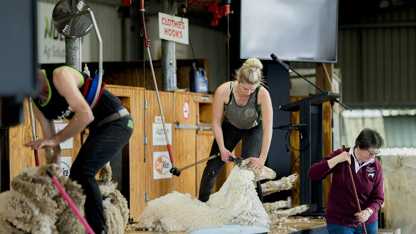 Elmore Field Days 2025: Celebrating 62 years of innovation and community