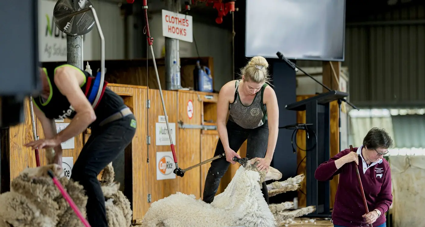 Elmore Field Days 2025: Celebrating 62 years of innovation and community