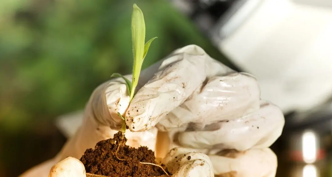 Victorian Biosecurity Reference Group appointed