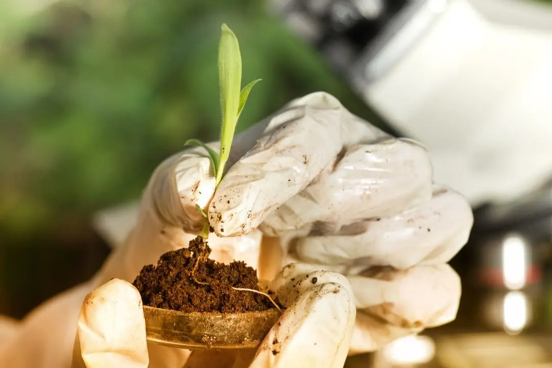 STRONG SYSTEM: Biosecurity is the key to not only protecting our agriculture sector, but also our environment, biodiversity, cultural heritage, economy and way of life. Id:20583