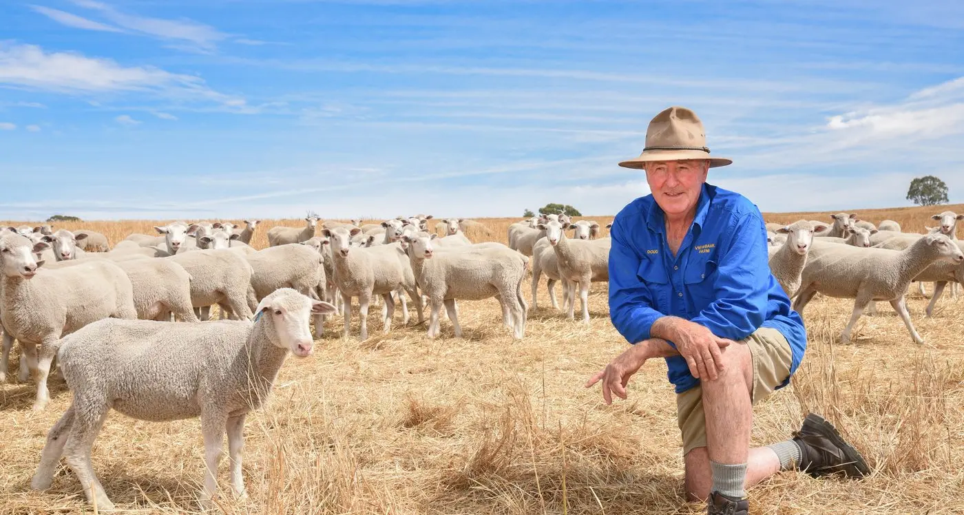 Rains good for stock, delay to crop harvest