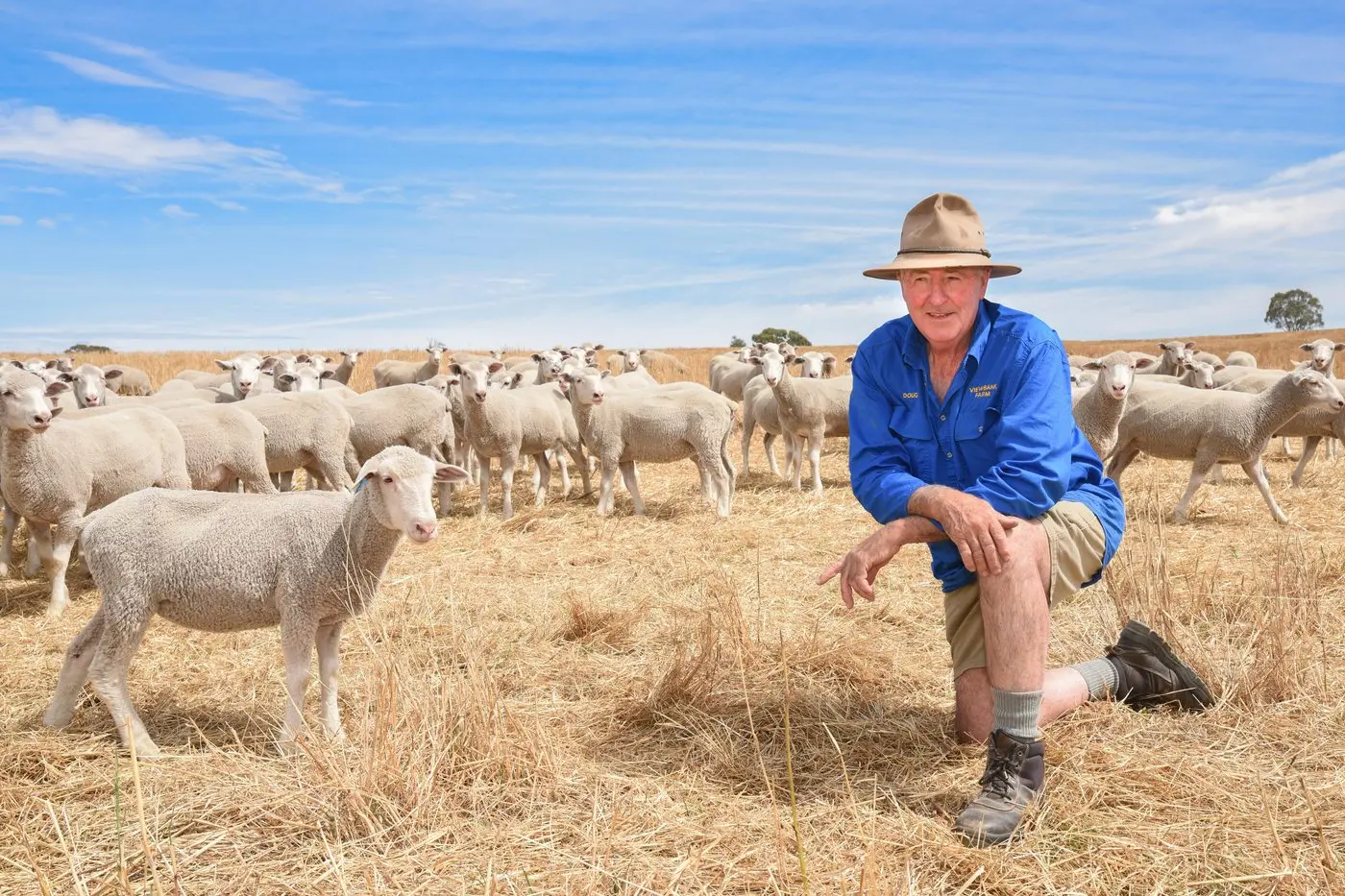 CHANGE IN CONDITIONS: Boweya sheep producer Doug James believes the recent rain event will ease pressure on the property. PHOTO: Kurt Hickling 