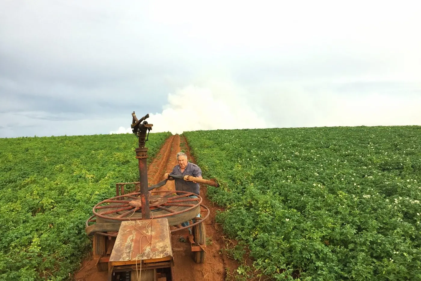 TRIED AND TRUE: Joe Pantornos irrigating his potato crop in the rich red soils of Gembrook.