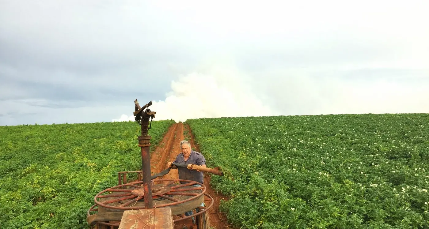 Gembrook’s finest potatoes unleashed