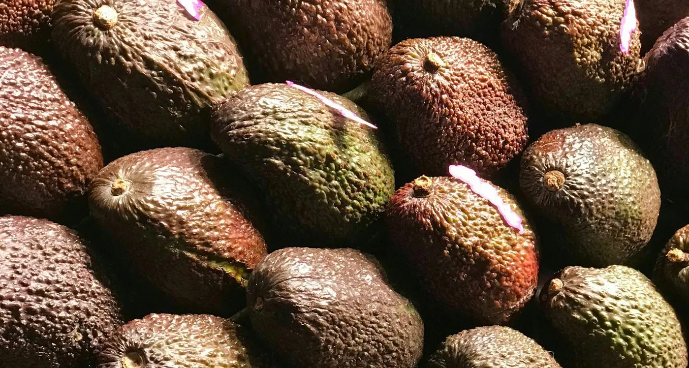 Industry spearheads adoption of labour-saving tech with $52M boost