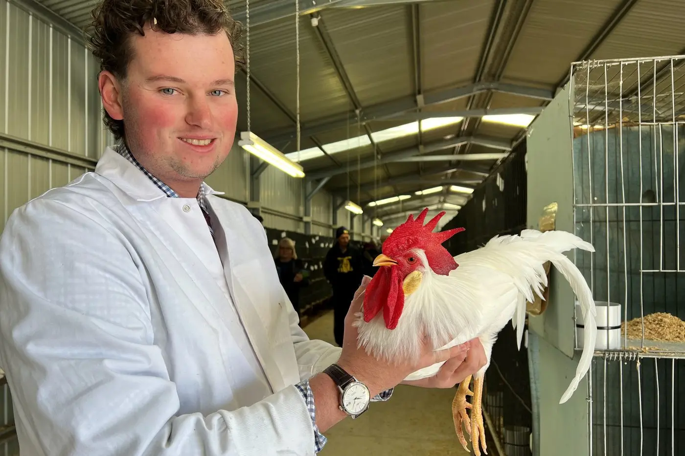 BIRD IN THE HAND: Vince Wood from Tumut was judging all the soft feather entries at Wangaratta Poultry Club\\'s 50th annual show on Sunday. PHOTO: Jeff Zeuschner