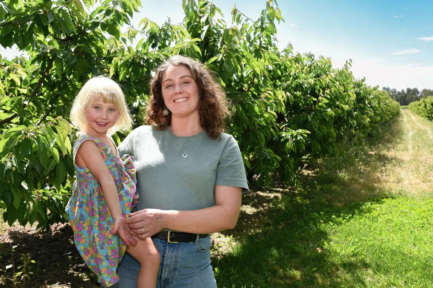 RIGHT WHEN IT RAINS: Cherries will arrive just in time for Christmas with pending rain needed. Pictured are Charlie Heintjes inspecting cherries with her mother Jessee Schulz Dahlenburg. PHOTO: Kurt Hickling