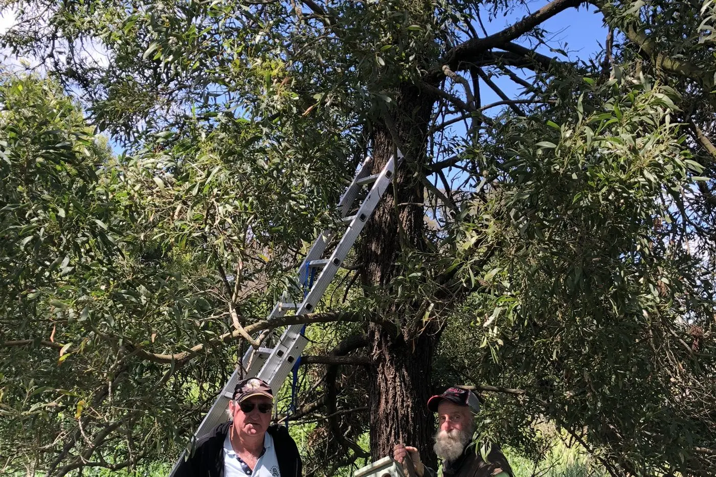 COLLABORATION: GRDC Managing Director Nigel Hart said by integrating beneficial insects and innovative pest control technologies, the project would enhance the overall health and productivity of grain and vegetable crops contributing to long-term sustainability. PHOTO: GRDC