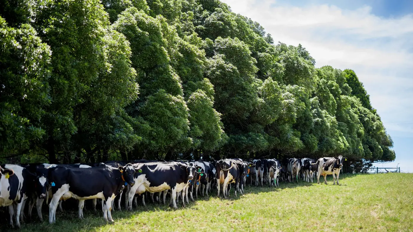 Virtual fencing regulations one step closer for farmers