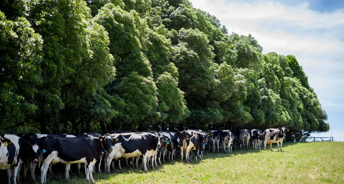 Virtual fencing regulations one step closer for farmers