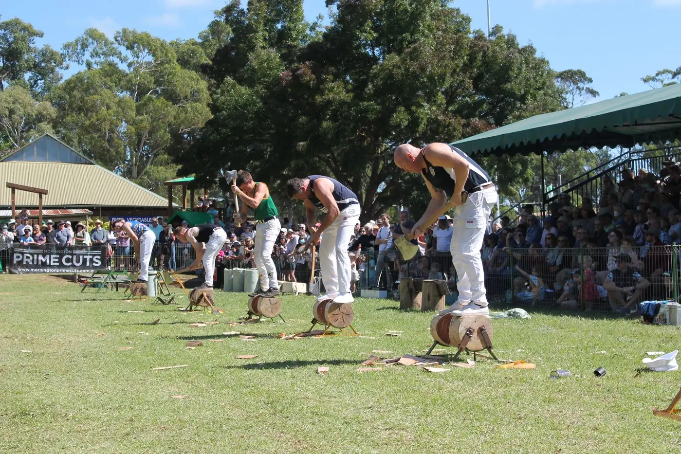 SHOW SPECTACULAR: The wood chopping competition drew a crowd. Id:22186