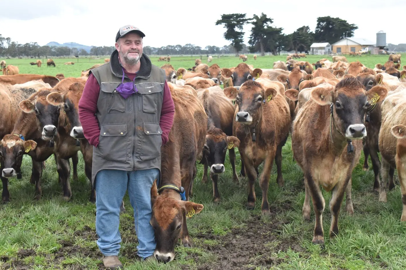 AT THE TOP: Con Glennen from White Star Jerseys took out the number one herd position in recent ABVs. Id:23310