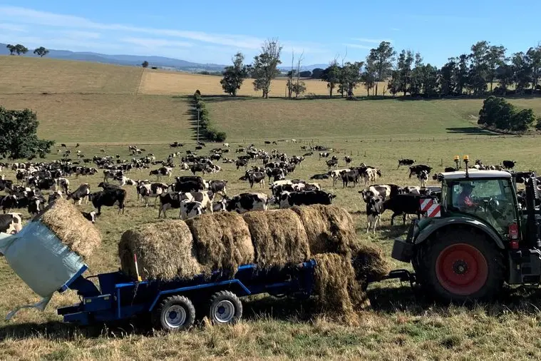 CONVENIENCE AND SAFETY: The McIntosh Multi Bale Feeder allows farmers to go into a large herd of cows and feed up to three bales at a time without even getting out of the tractor seat. Id:23467