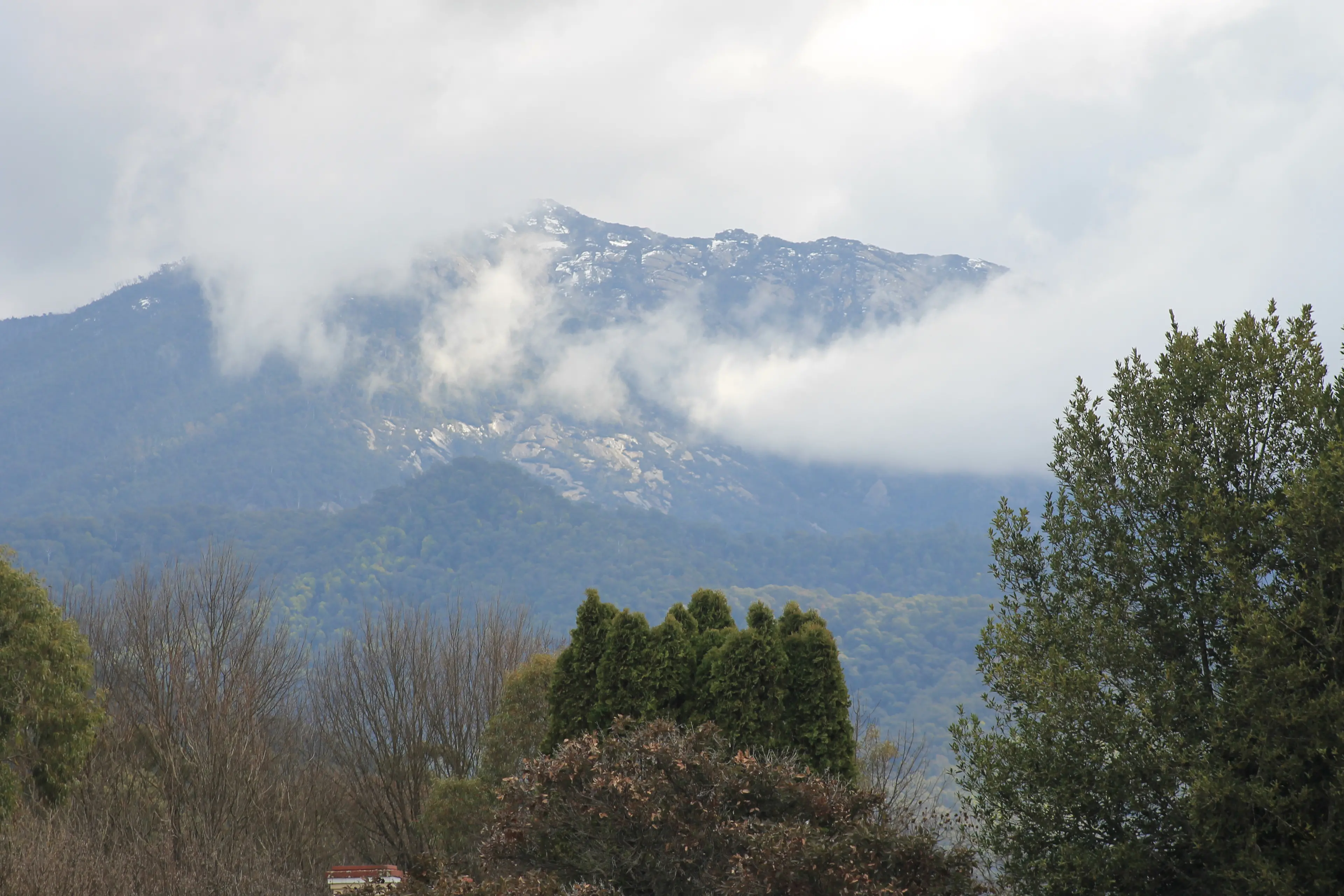 Police target accomplices after fatal shooting of Porepunkah fugitive